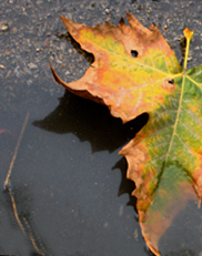 014 - the bus stop on Baise Lu, in front of the brothel, next to the Kedi
